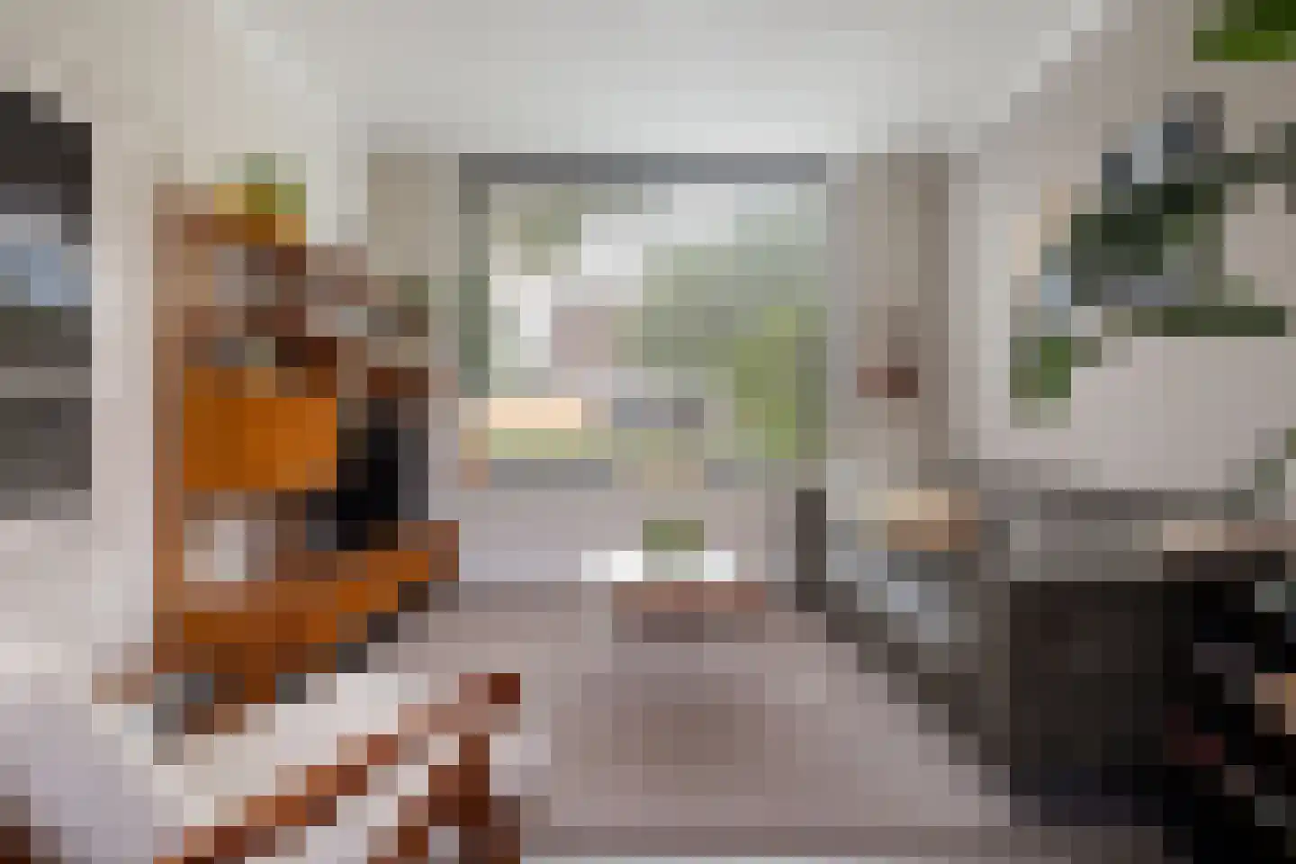 Dinkelstraat 13 's-Hertogenbosch thumbnail 10
