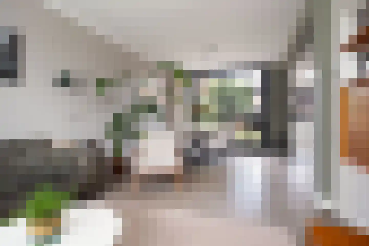 Dinkelstraat 13 's-Hertogenbosch thumbnail 11