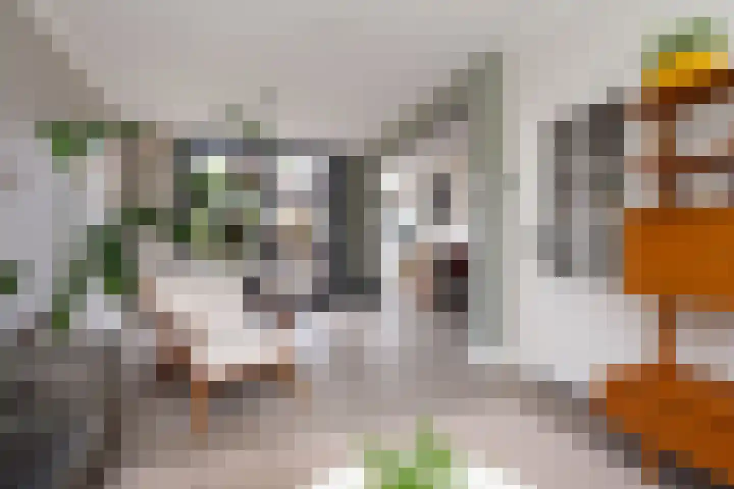 Dinkelstraat 13 's-Hertogenbosch thumbnail 12