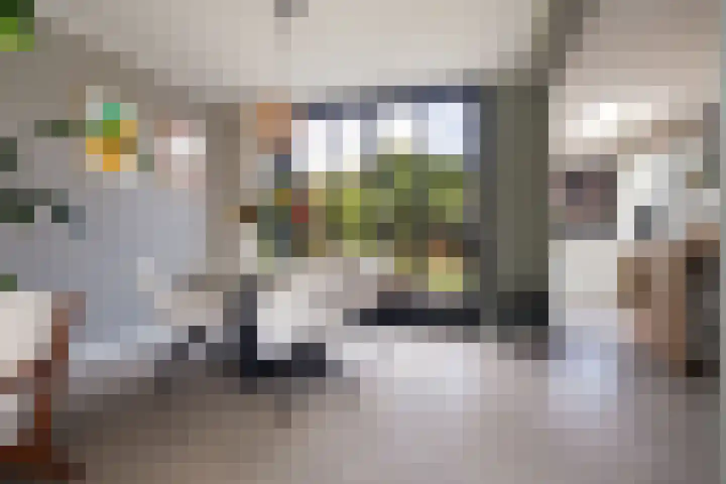 Dinkelstraat 13 's-Hertogenbosch thumbnail 13