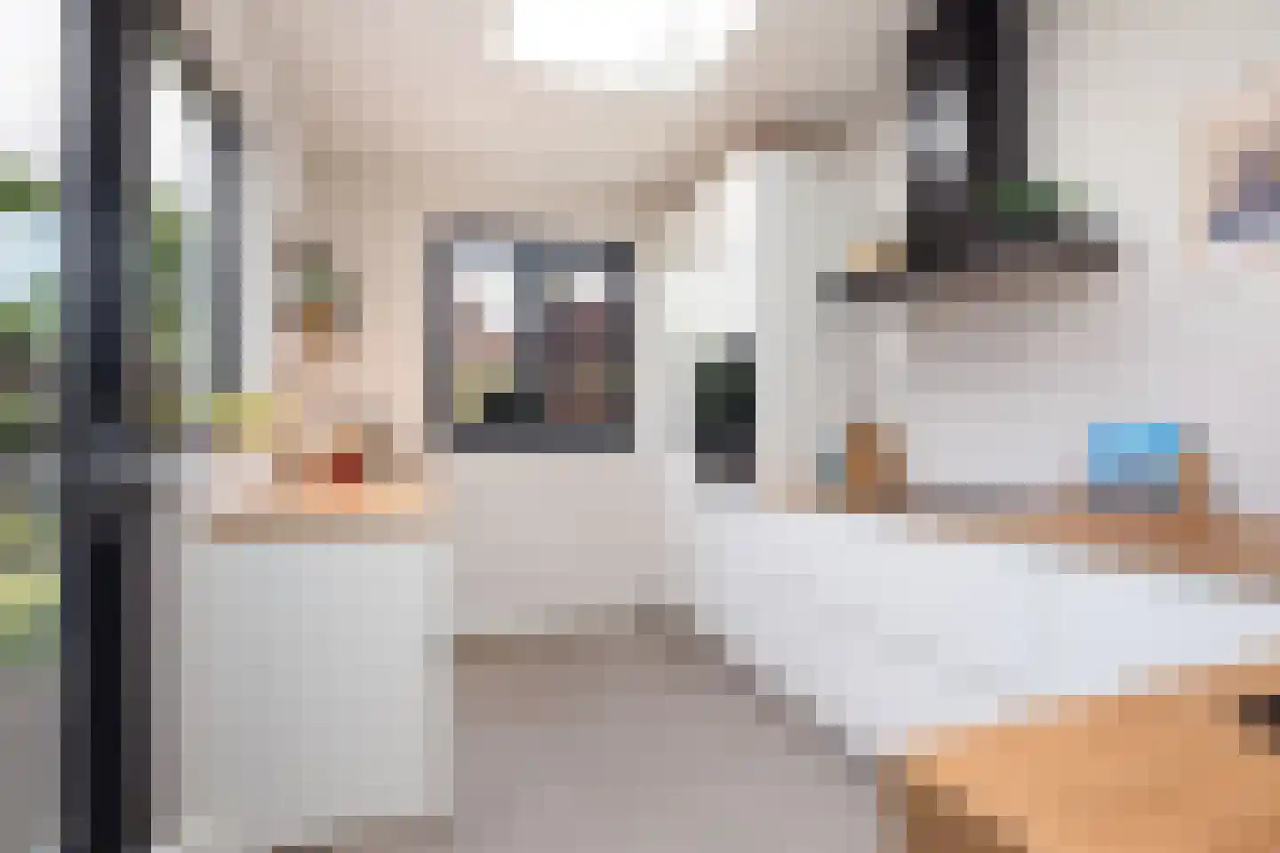 Dinkelstraat 13 's-Hertogenbosch thumbnail 19