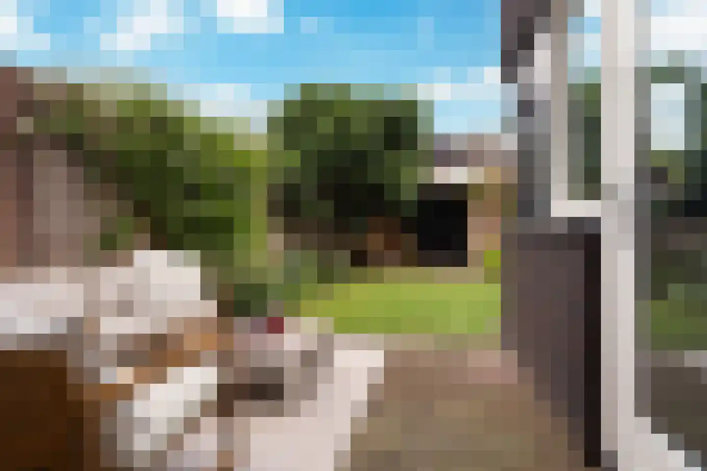 Dinkelstraat 13 's-Hertogenbosch thumbnail 21