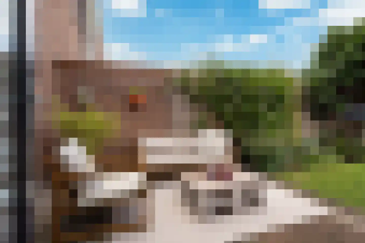 Dinkelstraat 13 's-Hertogenbosch thumbnail 22