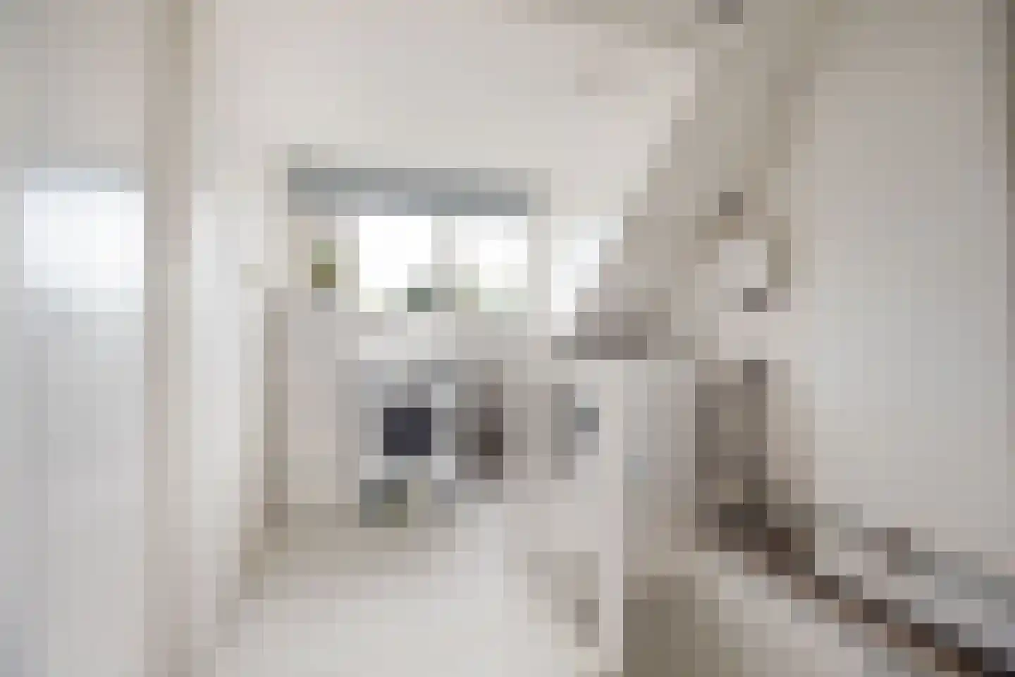 Dinkelstraat 13 's-Hertogenbosch thumbnail 34