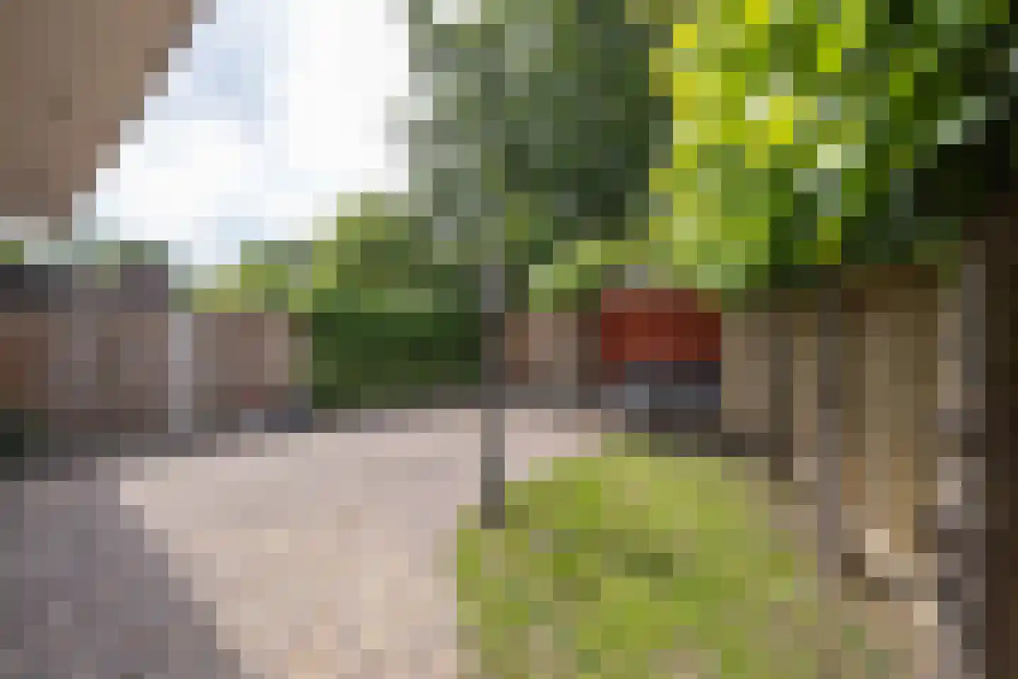 Dinkelstraat 18 Hengelo thumbnail 31