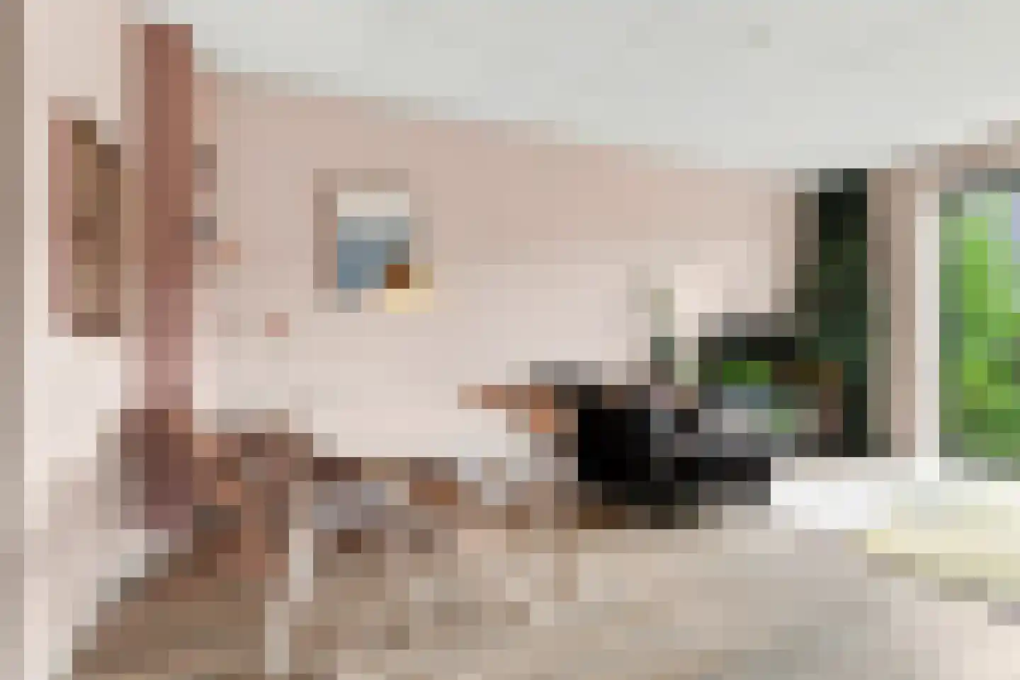 Dinkelstraat 18 Middelburg thumbnail 10