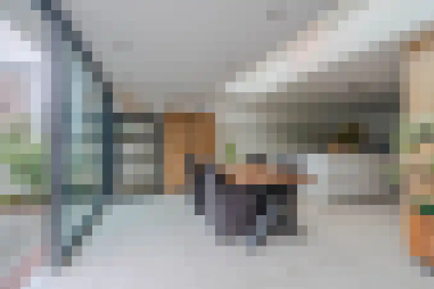 Dinkelstraat 33 Helmond thumbnail 21