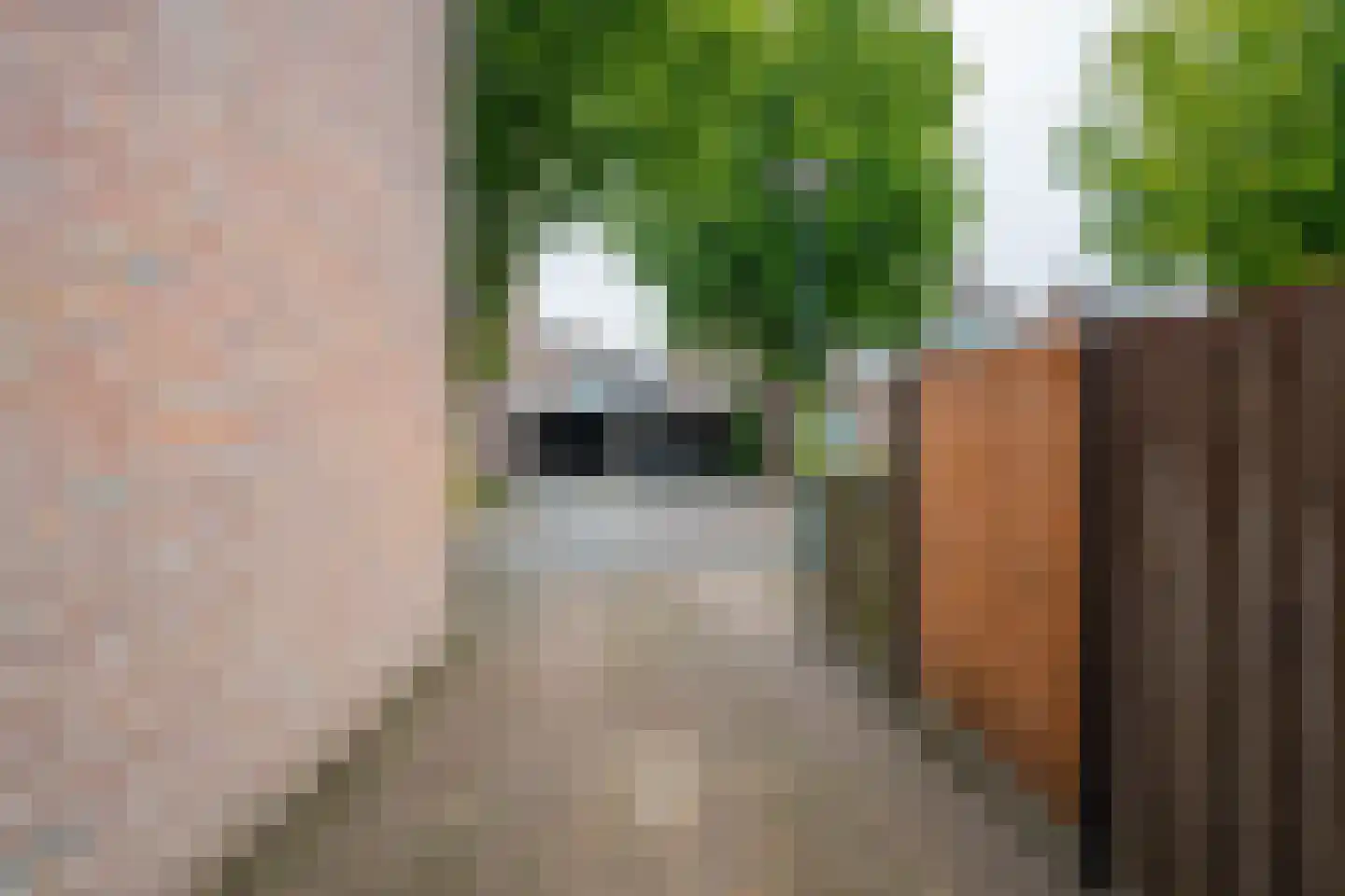 Dinkelstraat 33 Helmond thumbnail 46