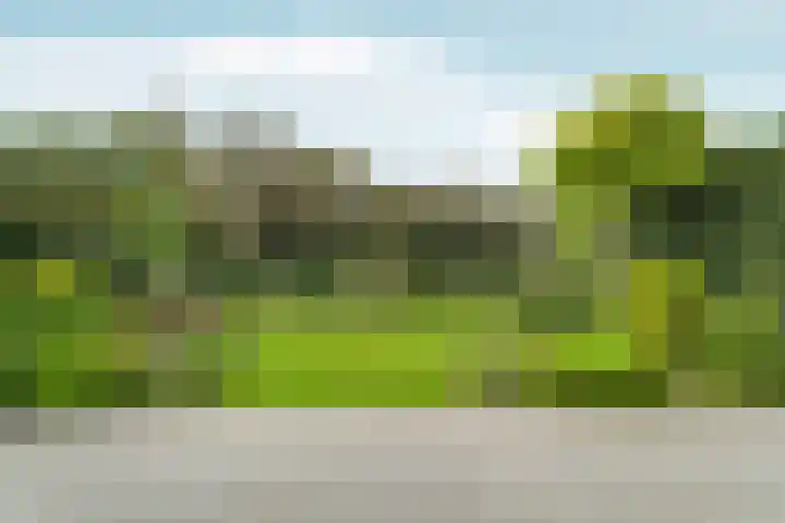 Dinkelstraat 4 Almere thumbnail 39