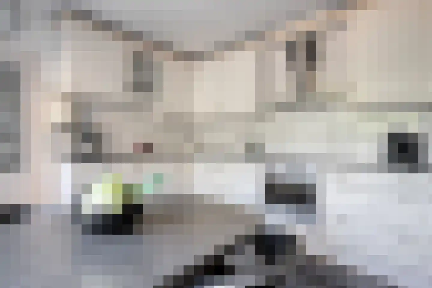 Dinkelstraat 44 Enschede thumbnail 19
