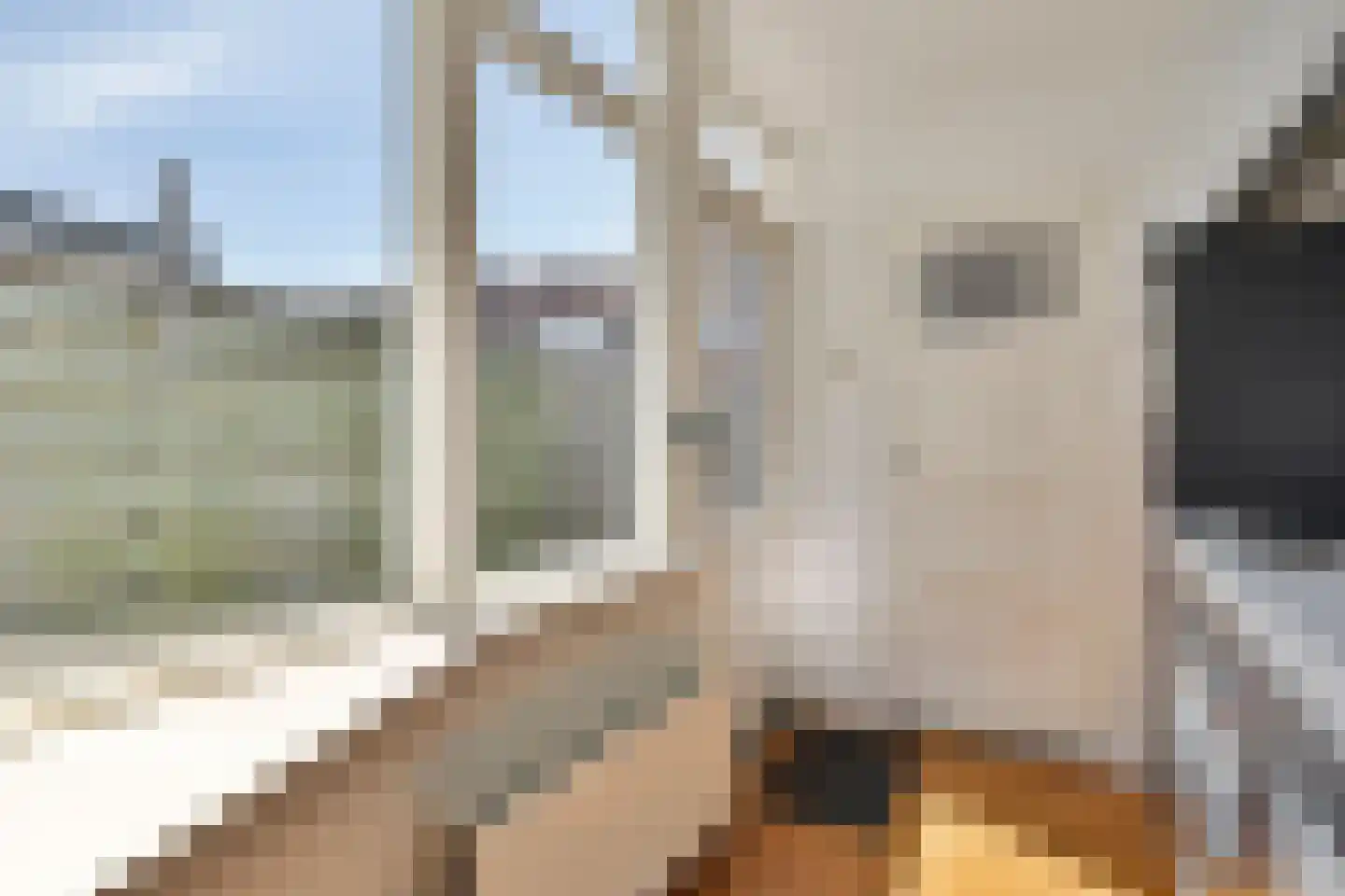 Dinkelstraat 6 Deventer thumbnail 13