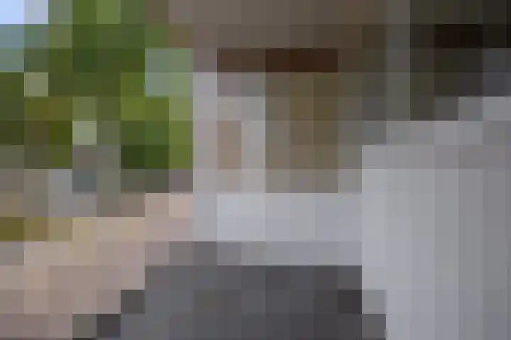 Dinkelstraat 69 Beverwijk thumbnail 32