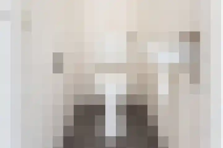 Dinkelstraat 7 Ulft thumbnail 10