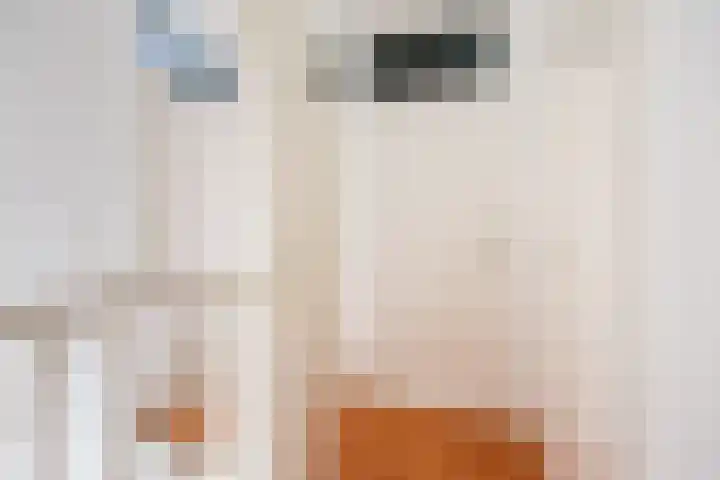 Dinkelstraat 7 Ulft thumbnail 18
