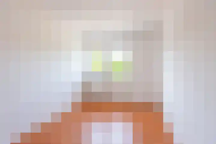 Dinkelstraat 7 Ulft thumbnail 19