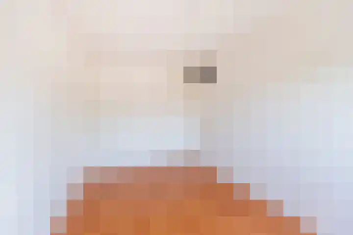 Dinkelstraat 7 Ulft thumbnail 21