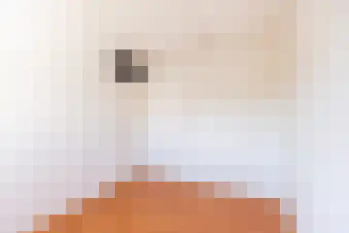 Dinkelstraat 7 Ulft thumbnail 29