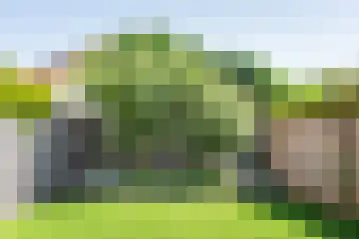 Dinkelstraat 7 Ulft thumbnail 34