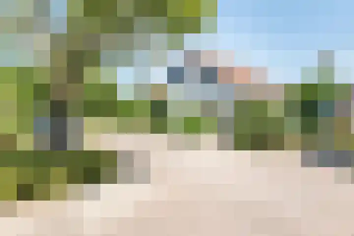 Dinkelstraat 7 Ulft thumbnail 41