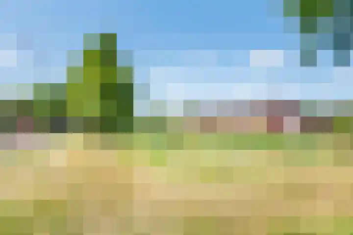 Dinkelstraat 7 Ulft thumbnail 42