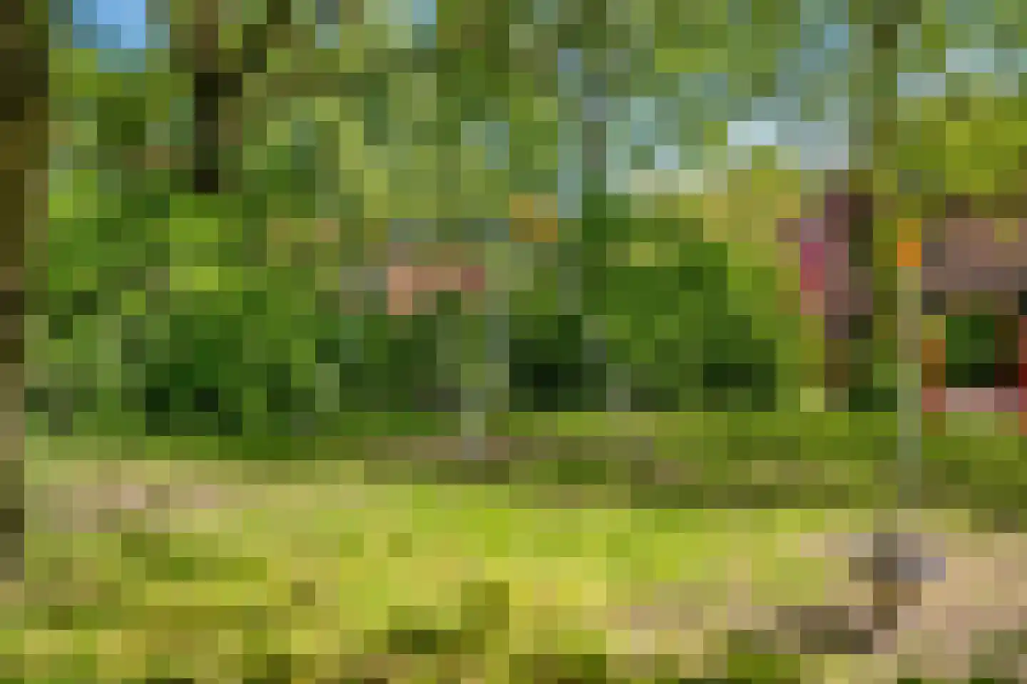 Dinkelwijk 14 Leusden thumbnail 26