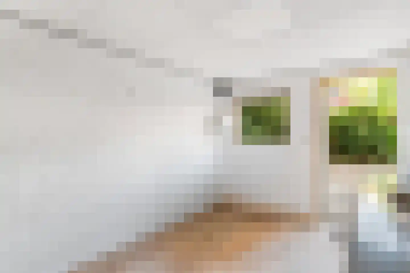 Dinkelwijk 14 Leusden thumbnail 26