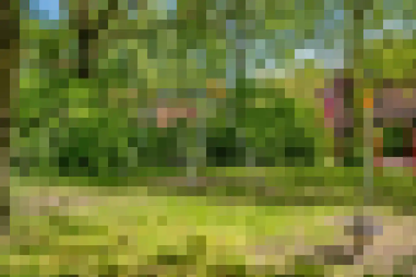 Dinkelwijk 14 Leusden thumbnail 27