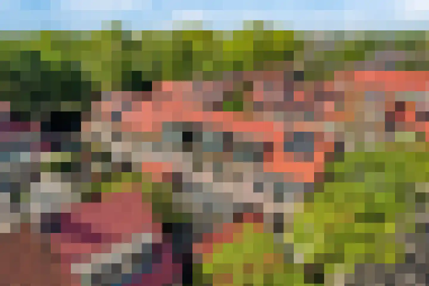 Dinkelwijk 14 Leusden thumbnail 31