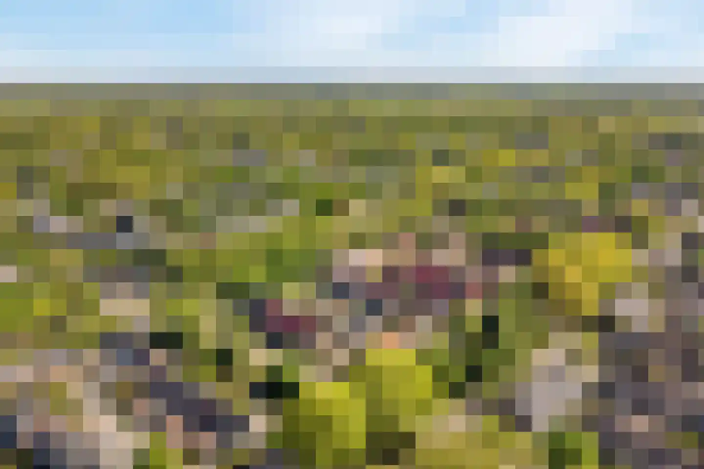 Dinkelwijk 14 Leusden thumbnail 33