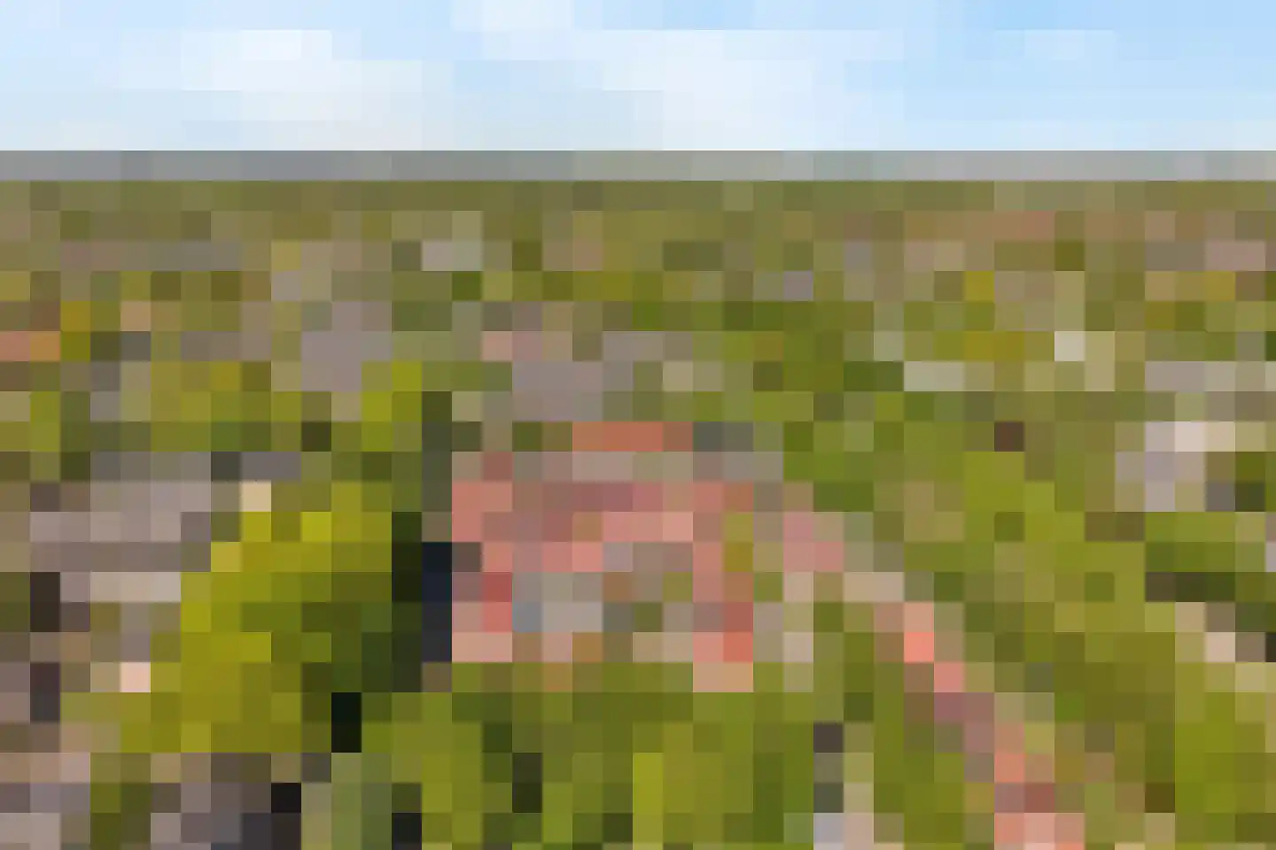 Dinkelwijk 14 Leusden thumbnail 33