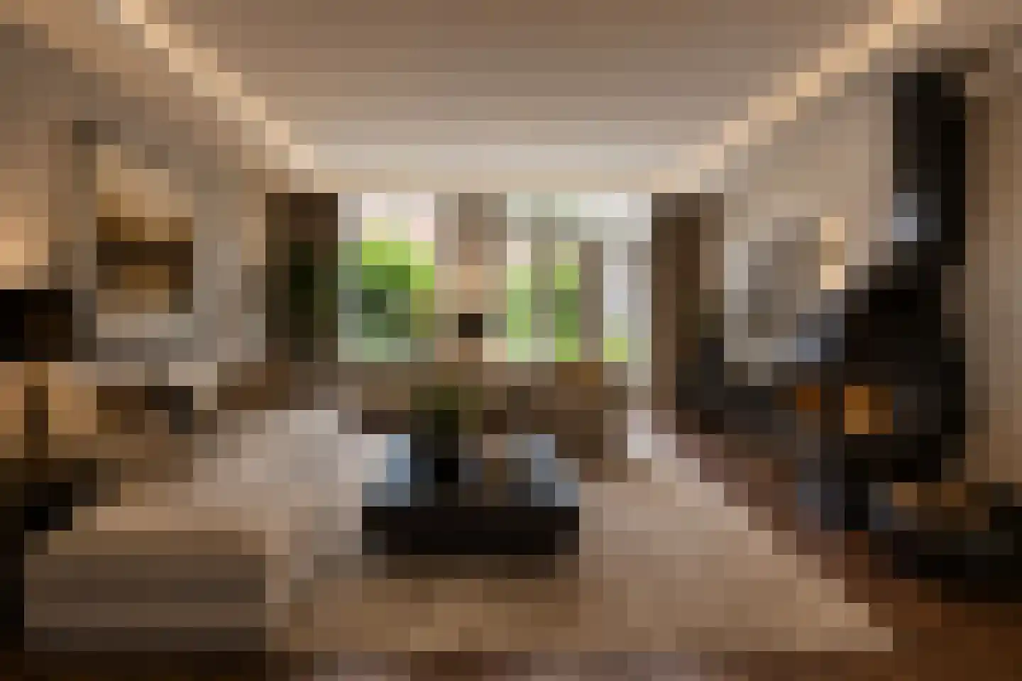 Dinkelwijk 29 Leusden thumbnail 11