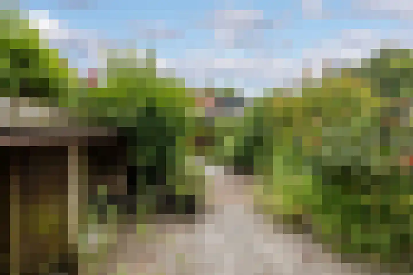 Dinkelwijk 29 Leusden thumbnail 32