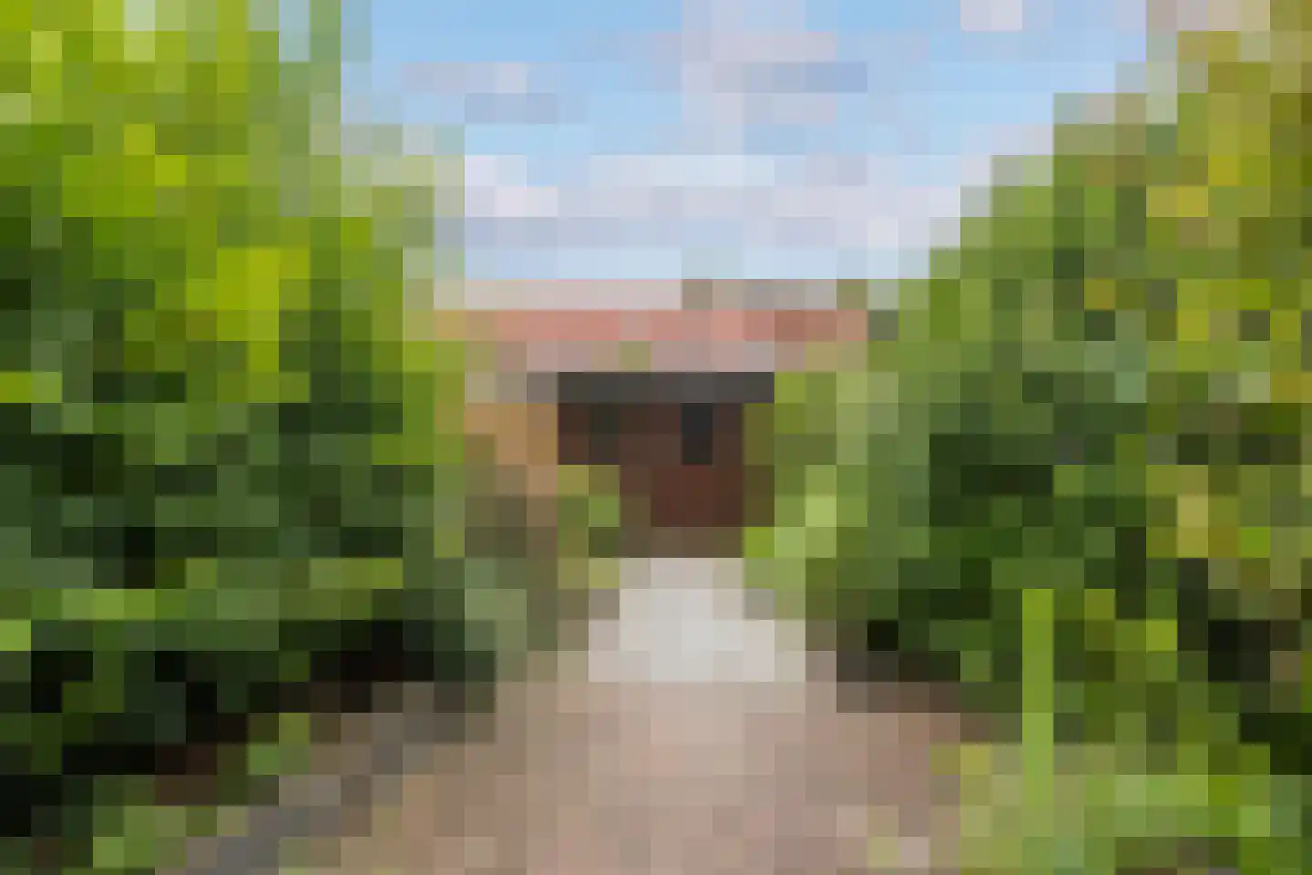 Dinkelwijk 29 Leusden thumbnail 33