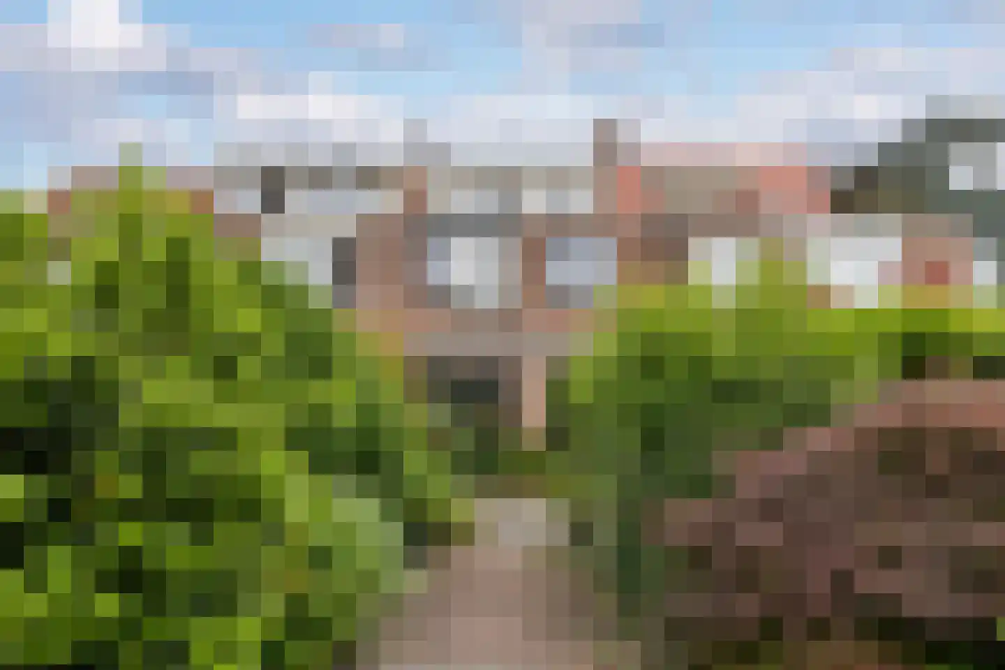 Dinkelwijk 29 Leusden thumbnail 34