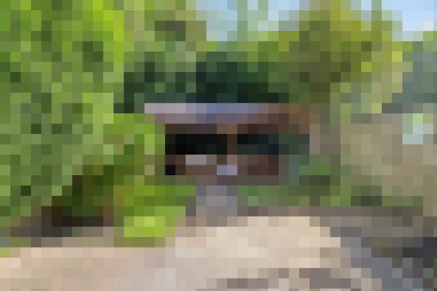 Dinsdagstraat 6 Almere thumbnail 45