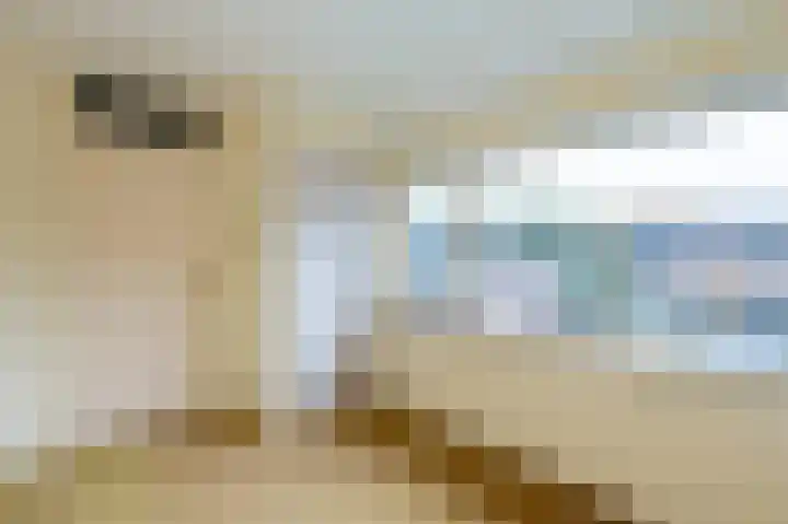 Dintel 1 Apeldoorn thumbnail 11