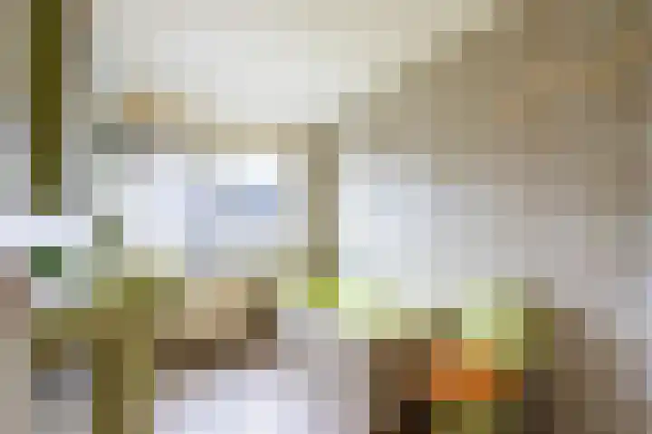 Dintel 1 Apeldoorn thumbnail 12