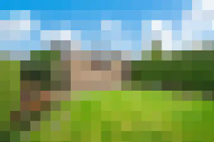 Dintel 1 Apeldoorn thumbnail 24