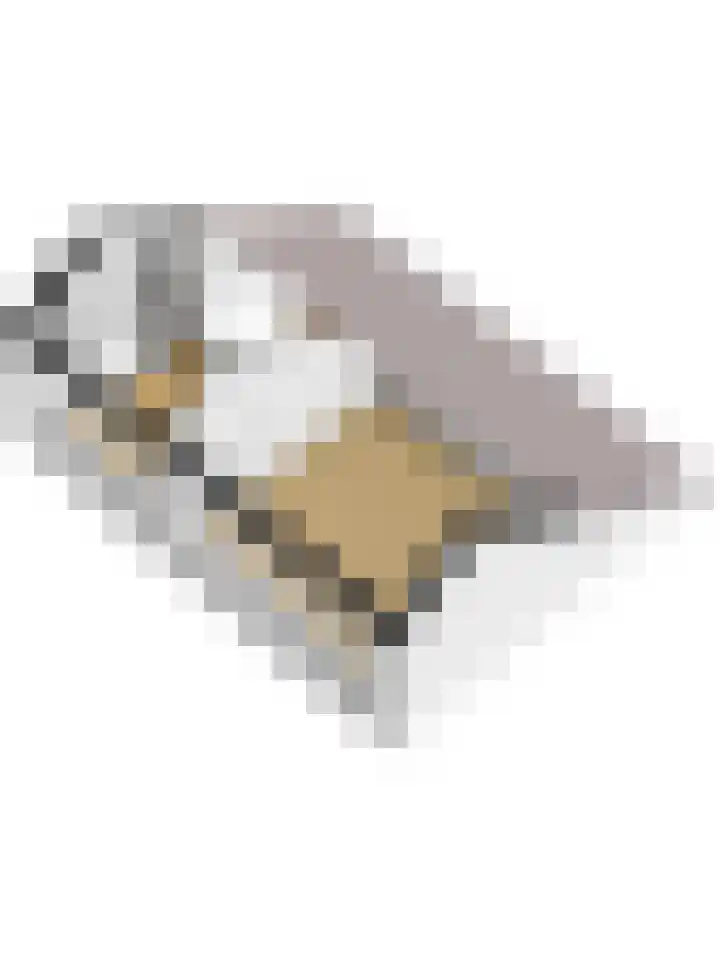 Dintel 1 Apeldoorn thumbnail 32