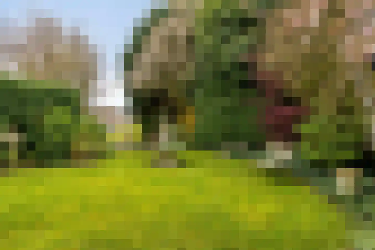 Dintel 14 Tilburg thumbnail 42