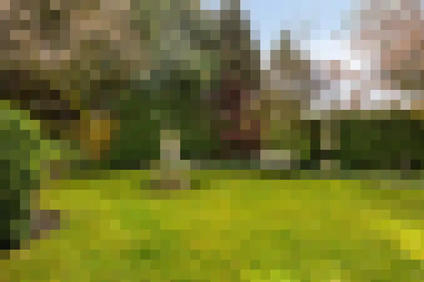 Dintel 14 Tilburg thumbnail 43
