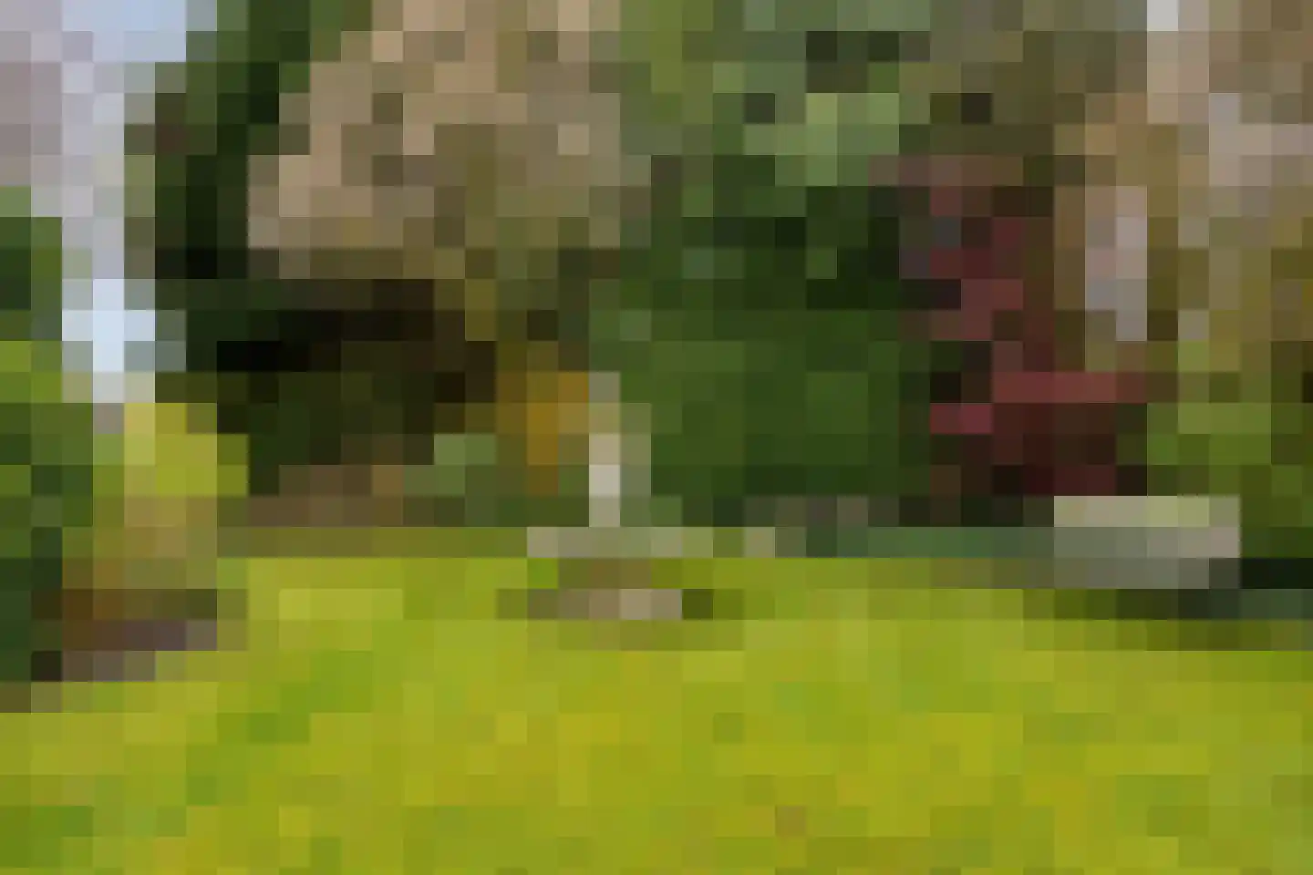 Dintel 14 Tilburg thumbnail 47