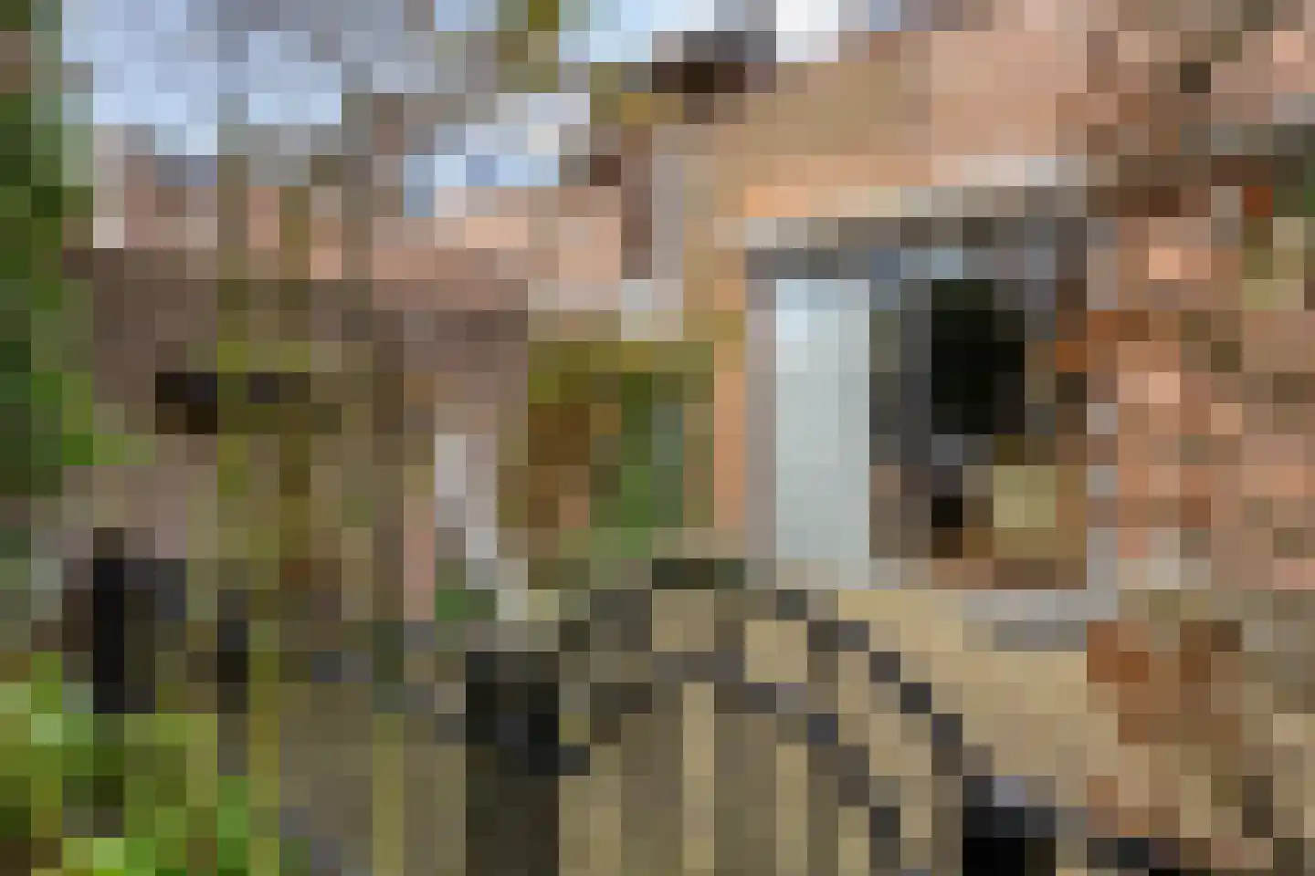 Dintel 14 Tilburg thumbnail 48