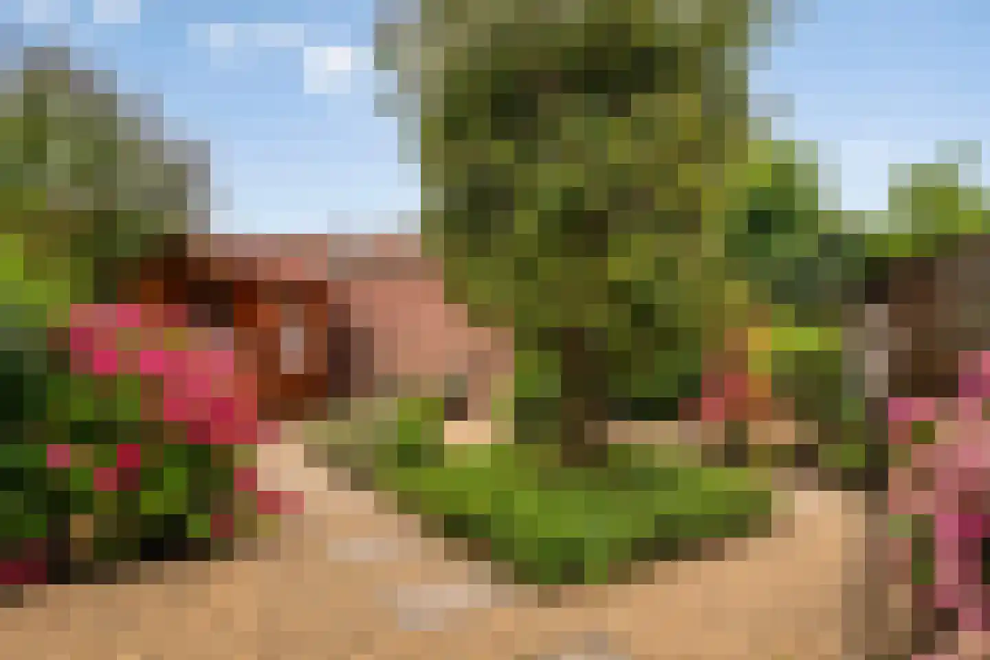 Dintel 3 De Meern thumbnail 15