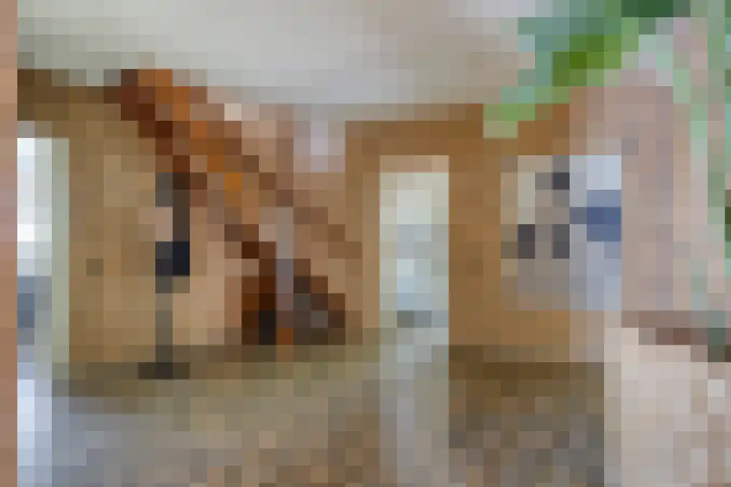 Dintel 7 Tilburg thumbnail 27
