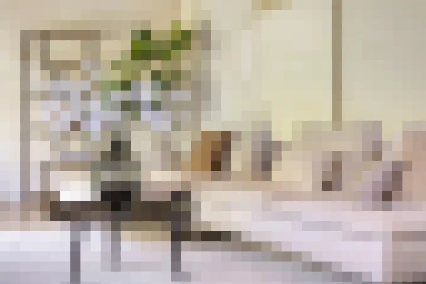 Dintel 7 Tilburg thumbnail 4