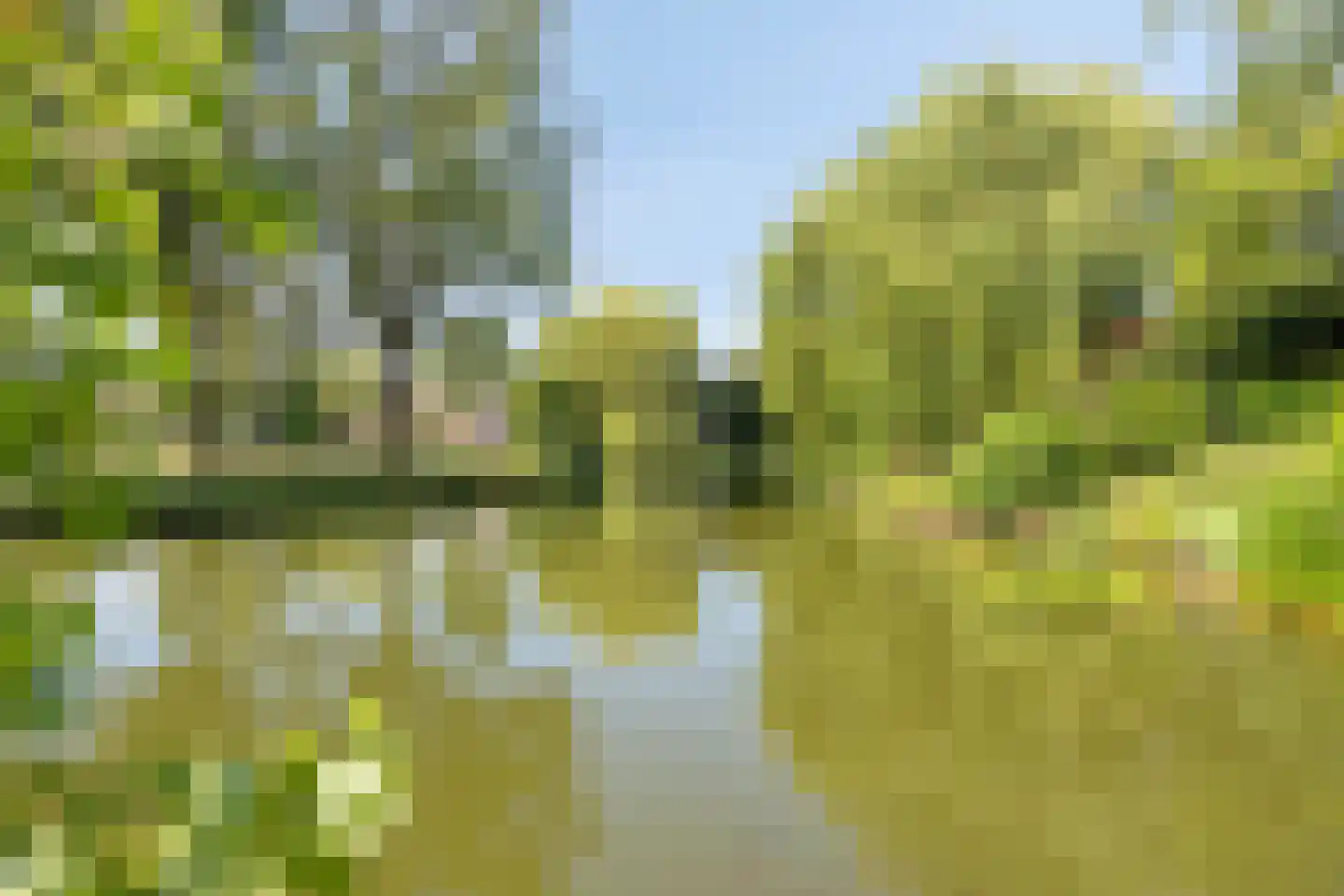 Dintel 7 Tilburg thumbnail 46