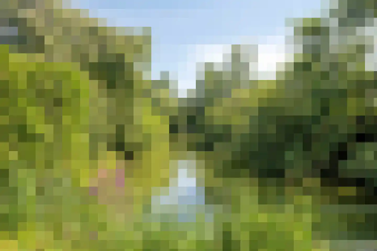 Dintel 7 Tilburg thumbnail 48