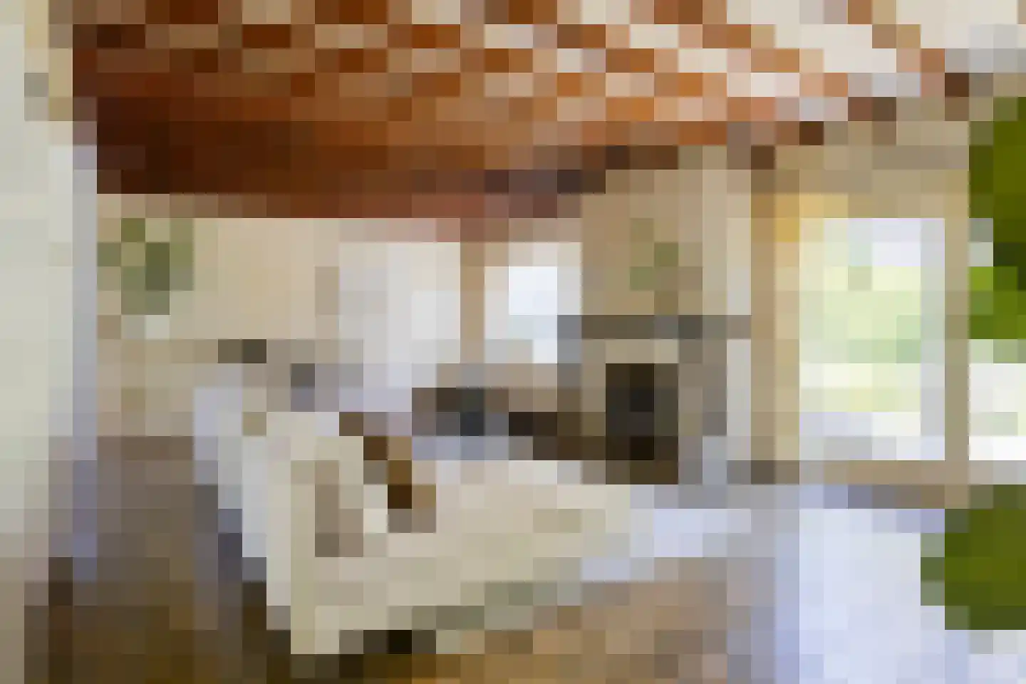 Dintel 7 Tilburg thumbnail 5