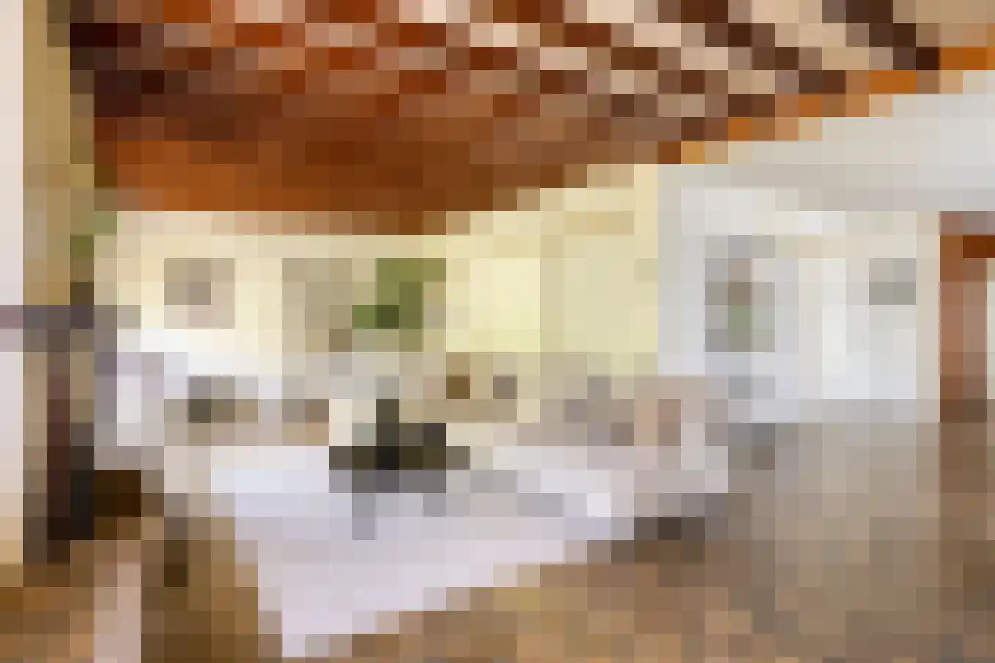 Dintel 7 Tilburg thumbnail 6